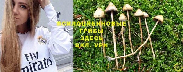 трава Волосово