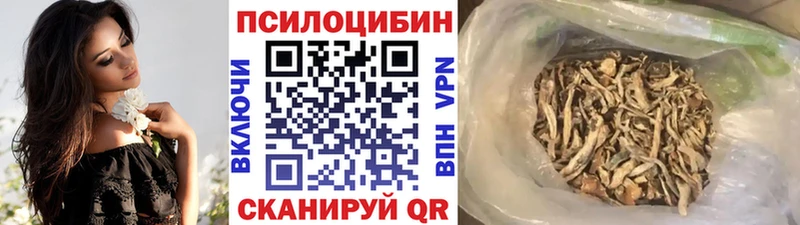 Галлюциногенные грибы Psilocybe Высоковск